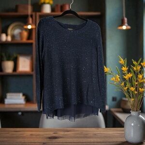 Papillon Navy Sheer Sequin Sweater